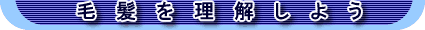 є𗝉悤